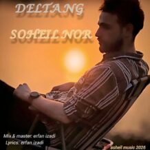 آهنگ جدید سهیل نور به نام دلتنگ